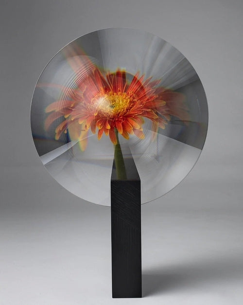 Phantom Illusion Vase - Creative Modern Decorative Vase